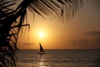 Neptune Palm Beach Boutique Resort & Spa - All Inclusive - Galu - 7