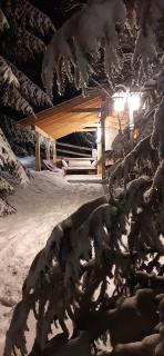 Bonita Chalet - Neagra Şarului - 2