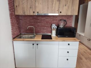 Evdo Apartments F2 White Studio - Gudauri - 1