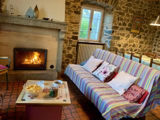 Maison de charme au coeur du Sancy en Auvergne - Saurier - 6
