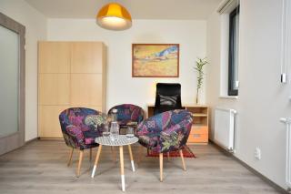 Appartment Waltrovka, free parking - Prague - 7