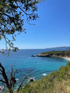 Irish Apartment Becici - Budva - 9
