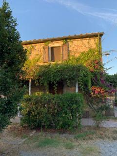 Podere Girasoli - Piombino - 9
