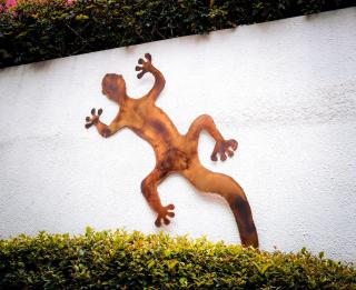 Hostal Cuija Coyoacan Berlin 268 Coyoacan - Città del Messico - 8