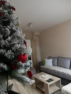 Apartman Maksimović Divčibare - Divčibare - 1