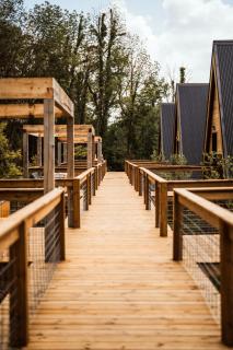 Finger Lakes Treehouse - Sodus - 3