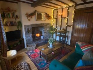 Maytree Cottage. Compact home in Mid Wales. - 6