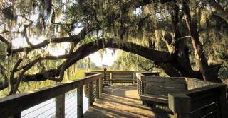 11 Dinghy - Hilton Head Island - 3