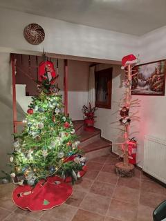 Costel rooms - Áyios Nikólaos - 2