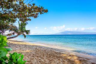 Mahana 1019 - 9