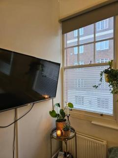 Beautiful and spacious flat - 4