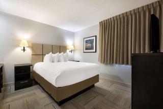 Sonesta Simply Suites Huntsville Research Park - Huntsville - 5