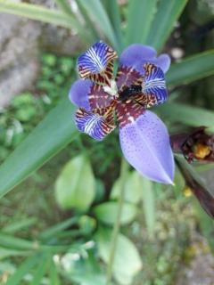 Casa Campestre Mi Refugio - 4