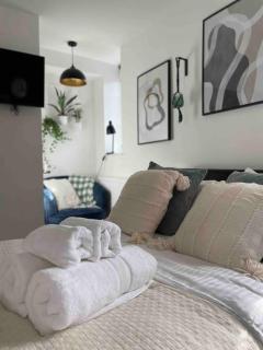 Stylish Putney village flat - Londra - 9