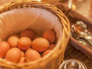 Pension Blaiken M - Scheffau am Wilden Kaiser - 1