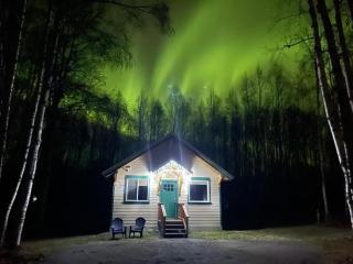 Talkeetna Mount Dall Cottage with WiFi&laundry - Talkeetna - 0
