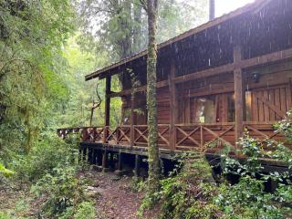 Cabaña del Leñador Los Renovales Huilo Huilo - Neltume - 3