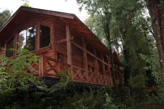 Cabaña del Leñador Los Renovales Huilo Huilo - Neltume - 2