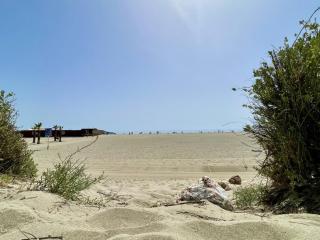 Appartement cosy 2 pièces avec WIFI, terrasse Ouest, 50m plage et commerces - Canet Sud - FR-1-748-21 - 5