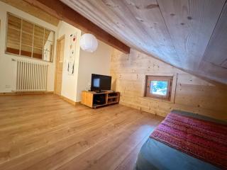 Appartement calme près du lac avec jardin, balcon, parking et wifi - FR-1-624-150 - Samoëns - 1