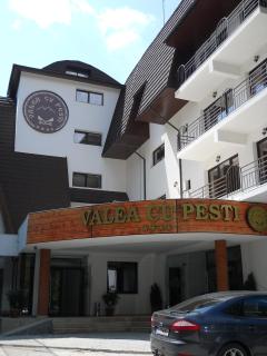 Hotel Valea cu Pesti - Căpăţîneni-Ungureni - 4