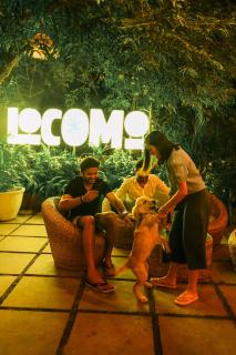 Locomo Boutique, Morjim - Stay Work Eat - Goa - 0