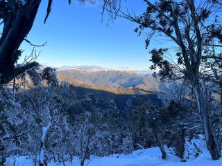 Schuss Alpine Club, Mt Buller - Mount Buller - 3