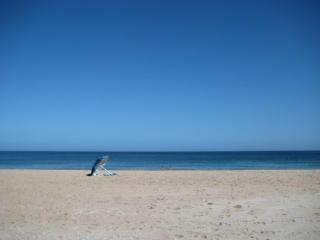 Absolute Beach Accommodation - Stompneusbaai - 8