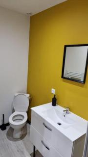 Studio Jasmin avec jardin, rénové - Saint-Quentin - 4