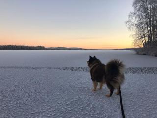 Lakeside Log Villa Edith - 3