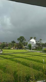 Villa Octo 4 - Rice field view and private pool - Canggu - 8