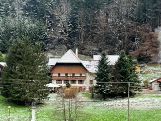 Geräumige Wohnung im Schwarzwald - Seelbach - 8