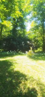 Domaine de La Barde apartments in the old walnut mill and forge - Le Bugue - 8