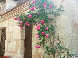 Domaine de La Barde apartments in the old walnut mill and forge - Le Bugue - 7