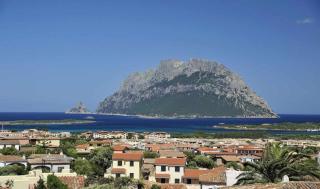 Porto San Paolo Villa Bel Vedere fino a 12 Posti Letto - Porto San Paolo - 3