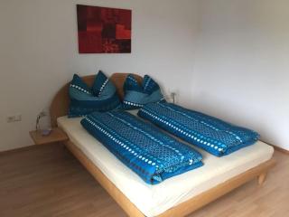Ruhige schöne 2-Zimmer Ferienwohnung - Höchst - 8