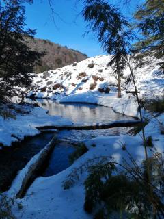 Brisas del llaima - Refugio Llaima - 0