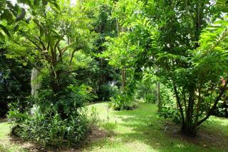 Rivercreek Estate - Kaeng Kachan - 2