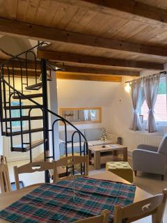 Vila Grand Mitrovac - Mitrovac - 7