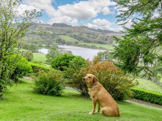 4 Bed in Near and Far Sawrey LLH42 - Near Sawrey - 6