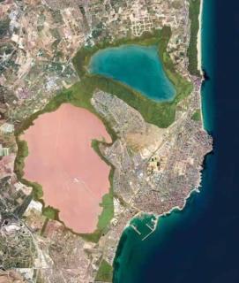 Casa Kolibri - Torrevieja - 6