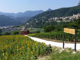 Country House Le Grazie - Serra San Quirico - 4