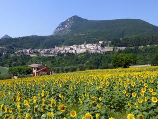 Country House Le Grazie - Serra San Quirico - 3
