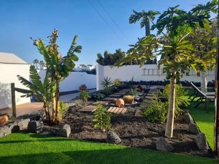 Apartamento en Puerto del Carmen - Puerto del Carmen - 9