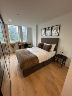 Stylish 1 Bedroom Apartment in Purley, Croydon - 7