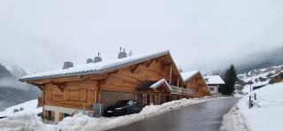 Les Chalets du Petit Châtel - Châtel - 1