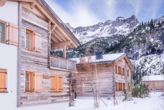 Circle Chalets Arlberg - Zug - 6