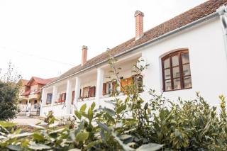 VB36 Vendégház - Villány - 5