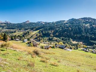 Charmant appartement: 1 ch, parking, WiFi, animaux admis - FR-1-671-13 - Les Gets - 3
