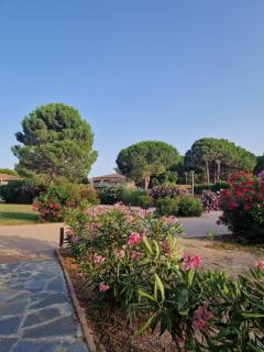 Fiori di Cala Rossa résidence hôtelière - Lecci - 7